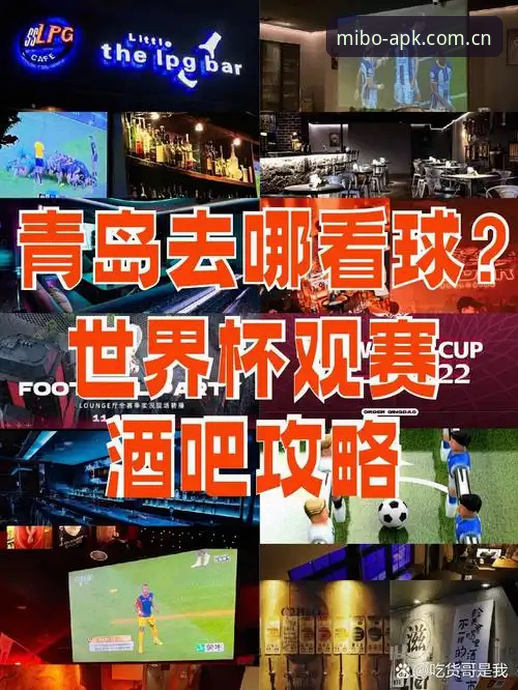 资深球迷分享：从世界杯安保缩编看赛事背后的组织博弈，米博体育稳定版观赛体验实录